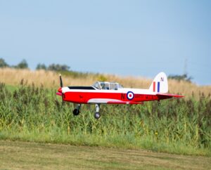 DSC_6513-2