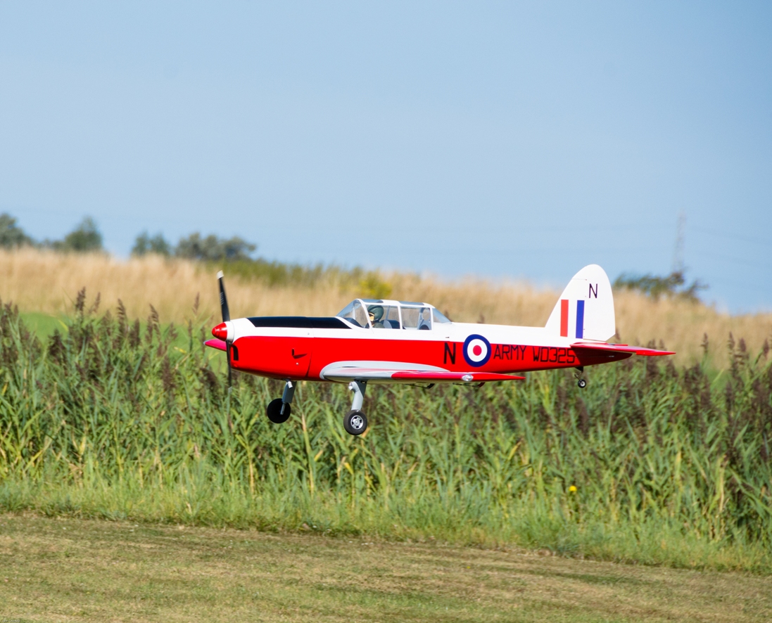 DSC_6513-2