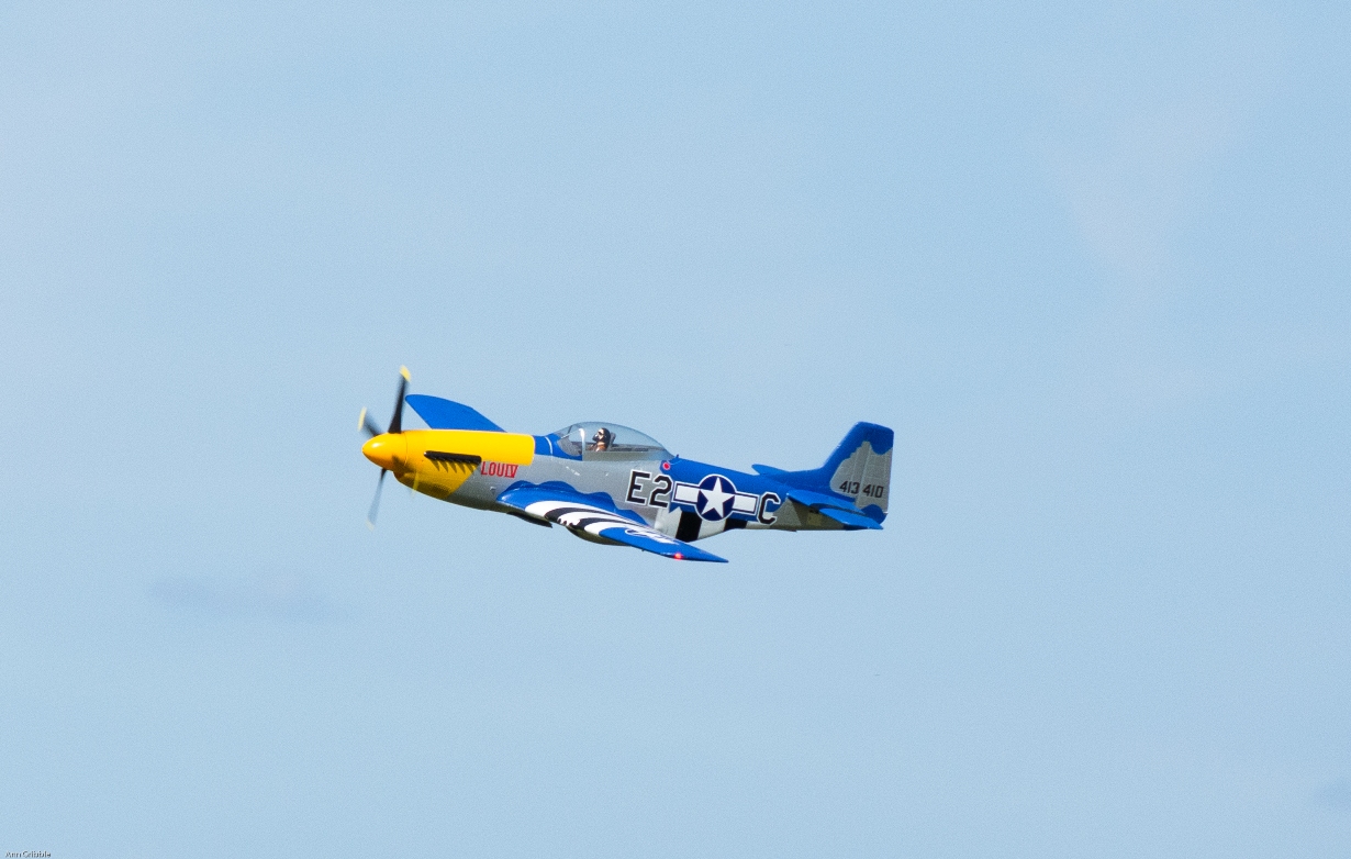 DSC_6575-2