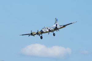 DSC_6593-2