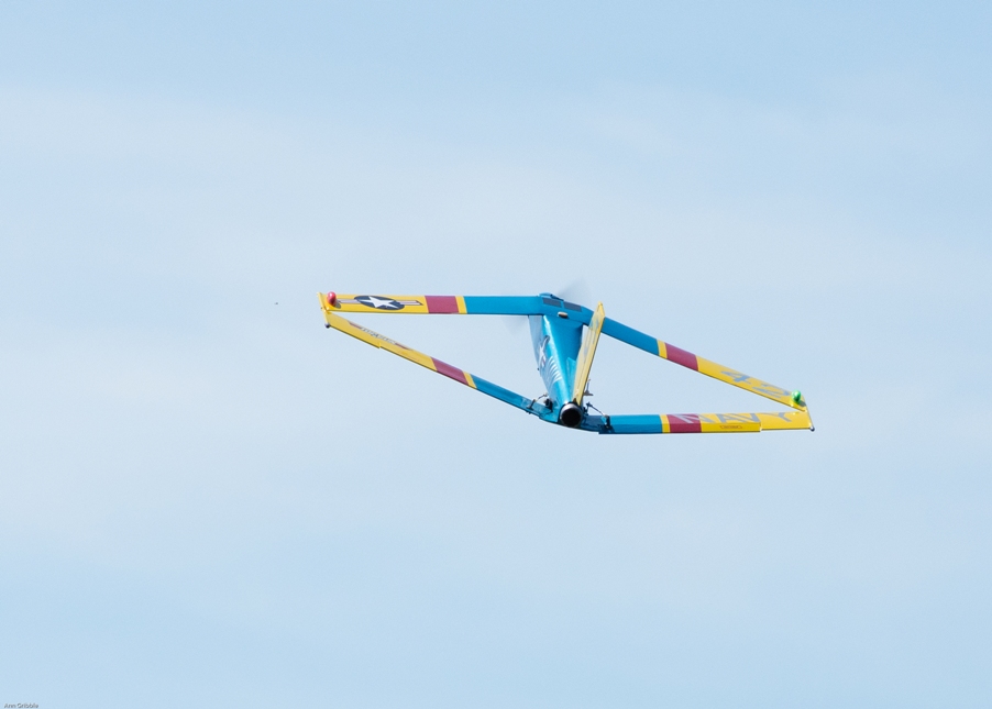 DSC_6637-2