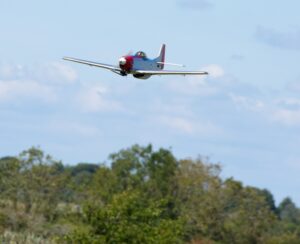 DSC_6668-2